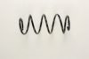 VOLVO 30884192 Coil Spring